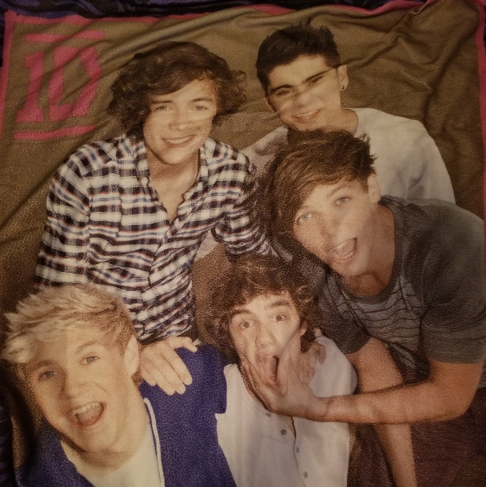 1D media Ltd purple zebra fleece blanket